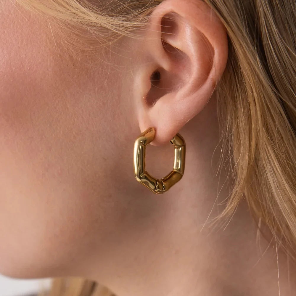 Stainless Steel Hoop Bohemian Hexagon Earrings